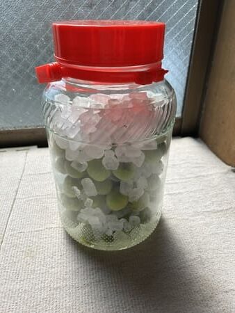 湖西市の山本歯科医院のブログ_梅ジュース、梅雨